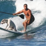 Hawaiis Surfhund